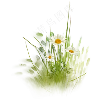 清新手绘花卉元素