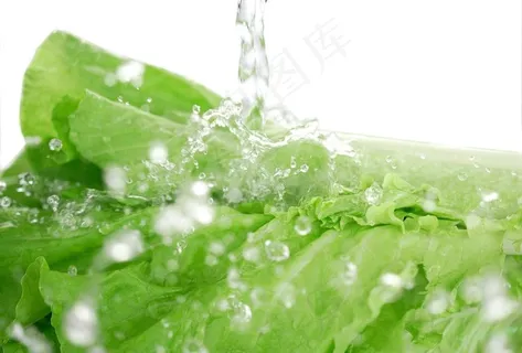 蔬菜 洗菜图片