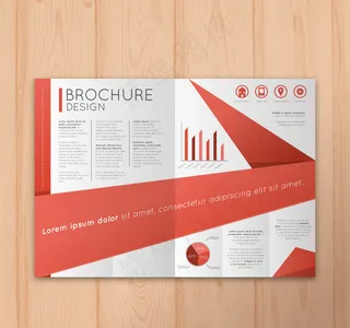 红色小册子与统计