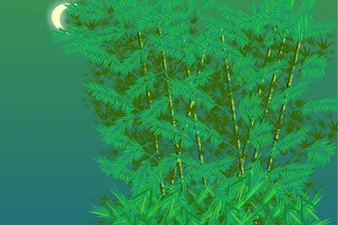 月光下的凤尾竹图片 月光下的凤尾竹图片