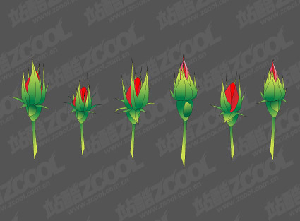 玫瑰花蕾矢量素材eps,ai矢量模版下载