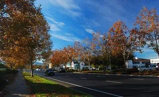 美国 加州 圣何塞 街景图片