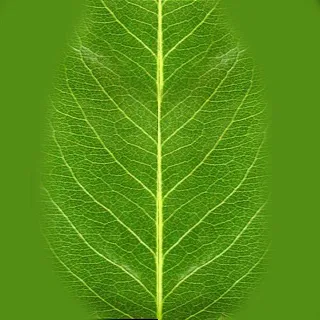 高精度3D建筑模型02