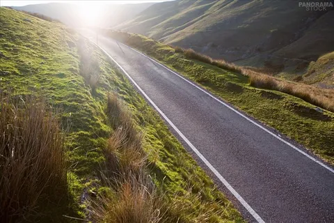 道路 公路 太阳 绿图片 道路 公路 太阳 绿图片