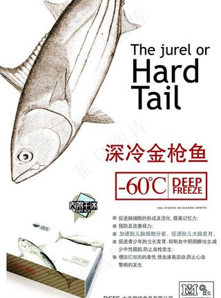 金枪鱼海报图片