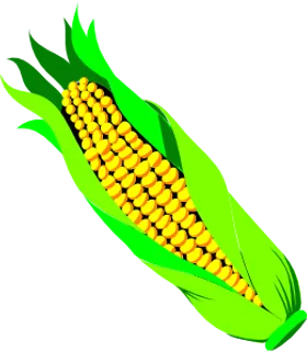 pannocchia DI GRA...