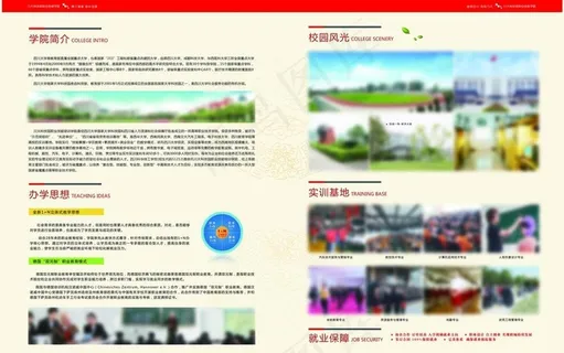 职业技能学院招生简章图片