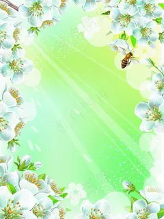 春天蜜蜂梨花背景图片 春天蜜蜂梨花背景图片