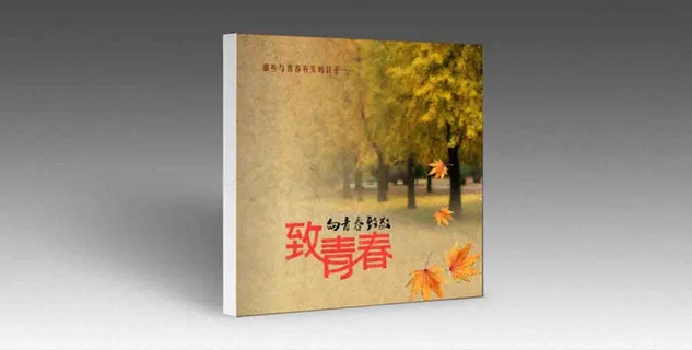 怀旧版同学录画册封面5P