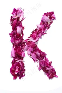 花瓣字母图片