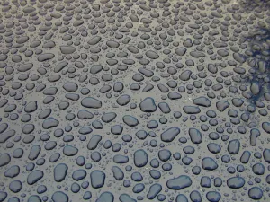 高清晰水珠照片