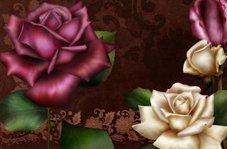 娇艳玫瑰花psd分层素材模板图片