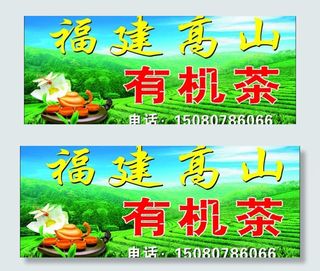 福建高山有机茶图片