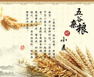 五谷杂粮 小麦