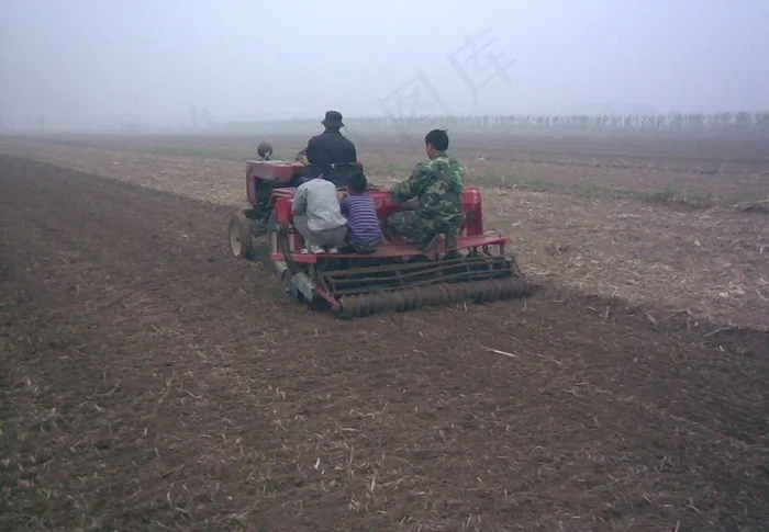 播种小麦图片