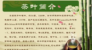 茶叶简叶海报图片