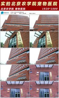 实拍北京农学院宠物医院
