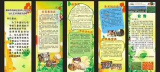 幼儿园培训项目介绍x展架图片