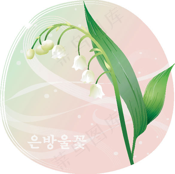 植物铃兰eps,ai矢量模版下载