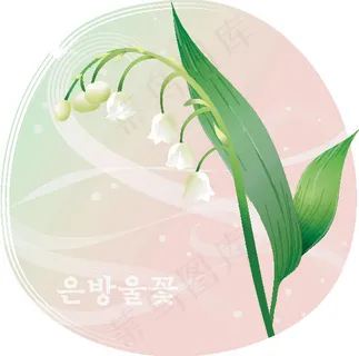 植物铃兰 植物铃兰