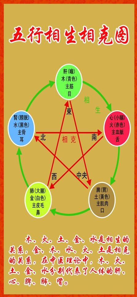 五行相生相克图片