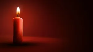 婚礼视频模板下载