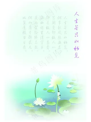 清水绿叶中盛夏荷花阵阵清凉图片