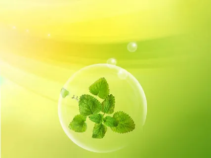 {爱有天意}跨页婚纱模板