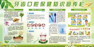 牙齿口腔保健健康知识宣传栏展板