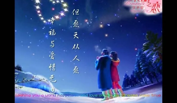 婚礼视频素材图片