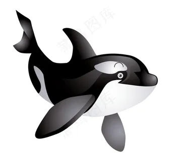 海豚图片 海豚图片