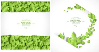 创意绿叶文本模板矢量素材
