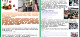 小学生营养餐图片