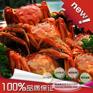 淘宝食品食 大闸蟹 促销包邮主图...