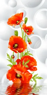 3D手绘虞美人玄关背景墙