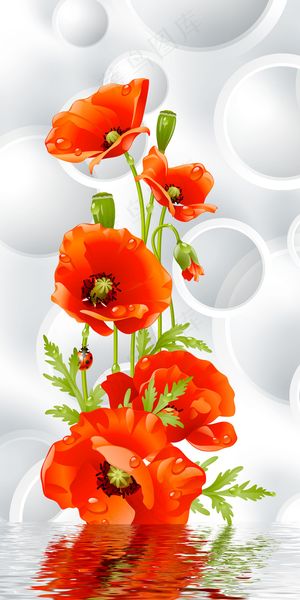 3D手绘虞美人玄关背景墙