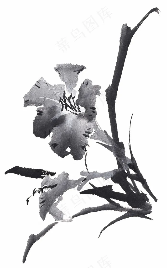 水墨水仙