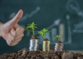 金币嫩芽小树苗孵化培育理财商务金融财富主题素材