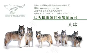 七匹狼名片