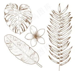 手绘热带植物矢量