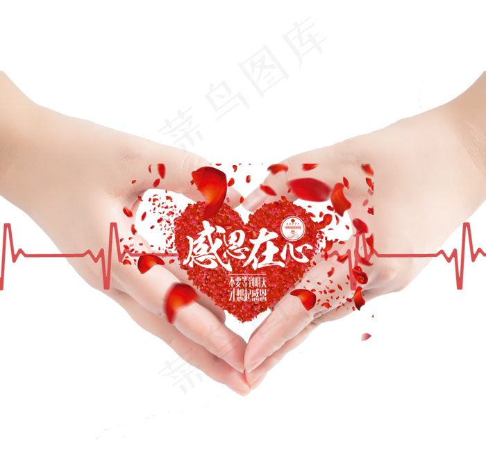 感恩节动感视频素材