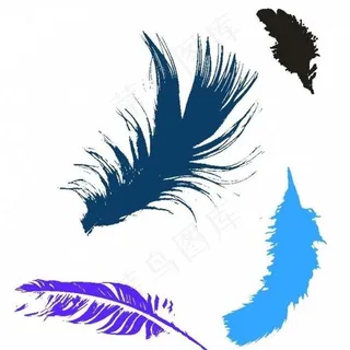 羽毛ps笔刷图片