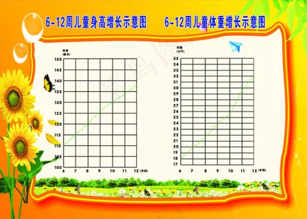 6-12周儿童身高体重增长示意图