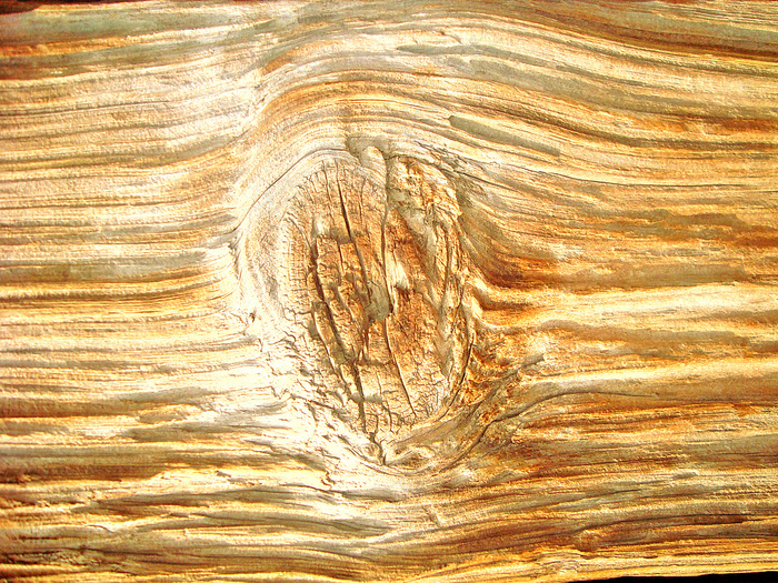 wood_texture_knot...