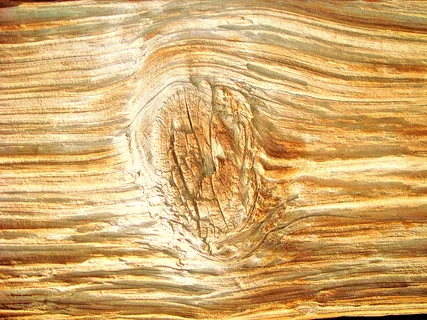wood_texture_knot... wood_texture_knot...