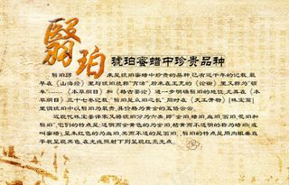 翳珀 琥珀 古典