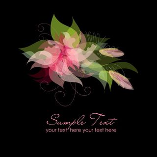 在黑色的背景上粉红色的花—