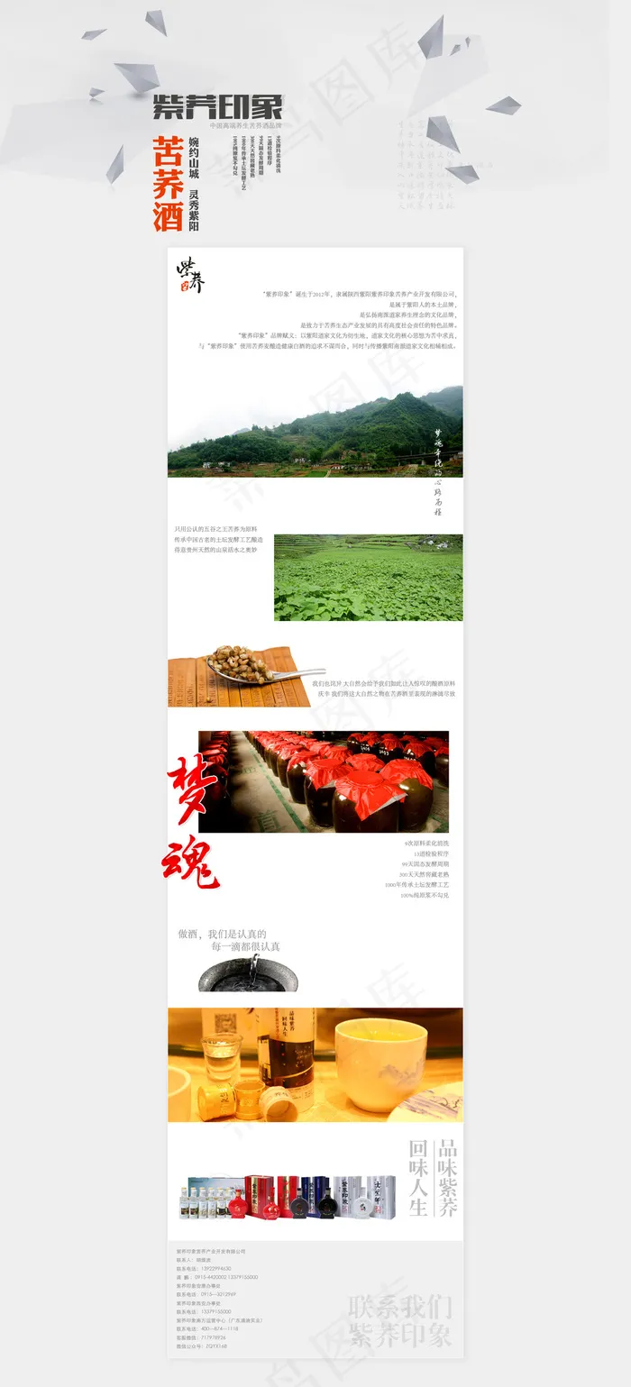 淘宝天猫专题页简约白酒类紫荞印象苦荞酒psd模版下载