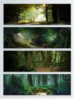 森林树林唯美背景banner