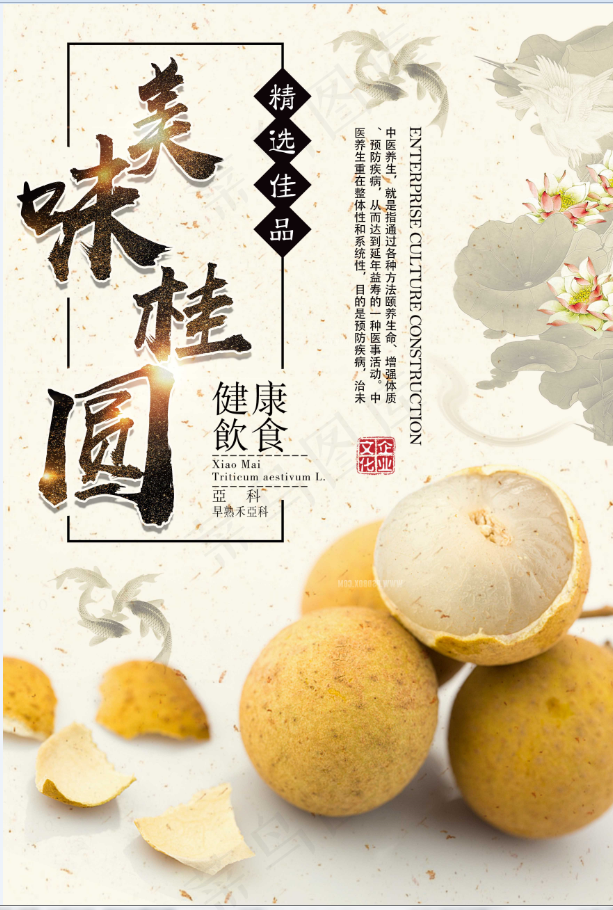 桂圆psd模版下载